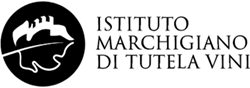 logo-IMT